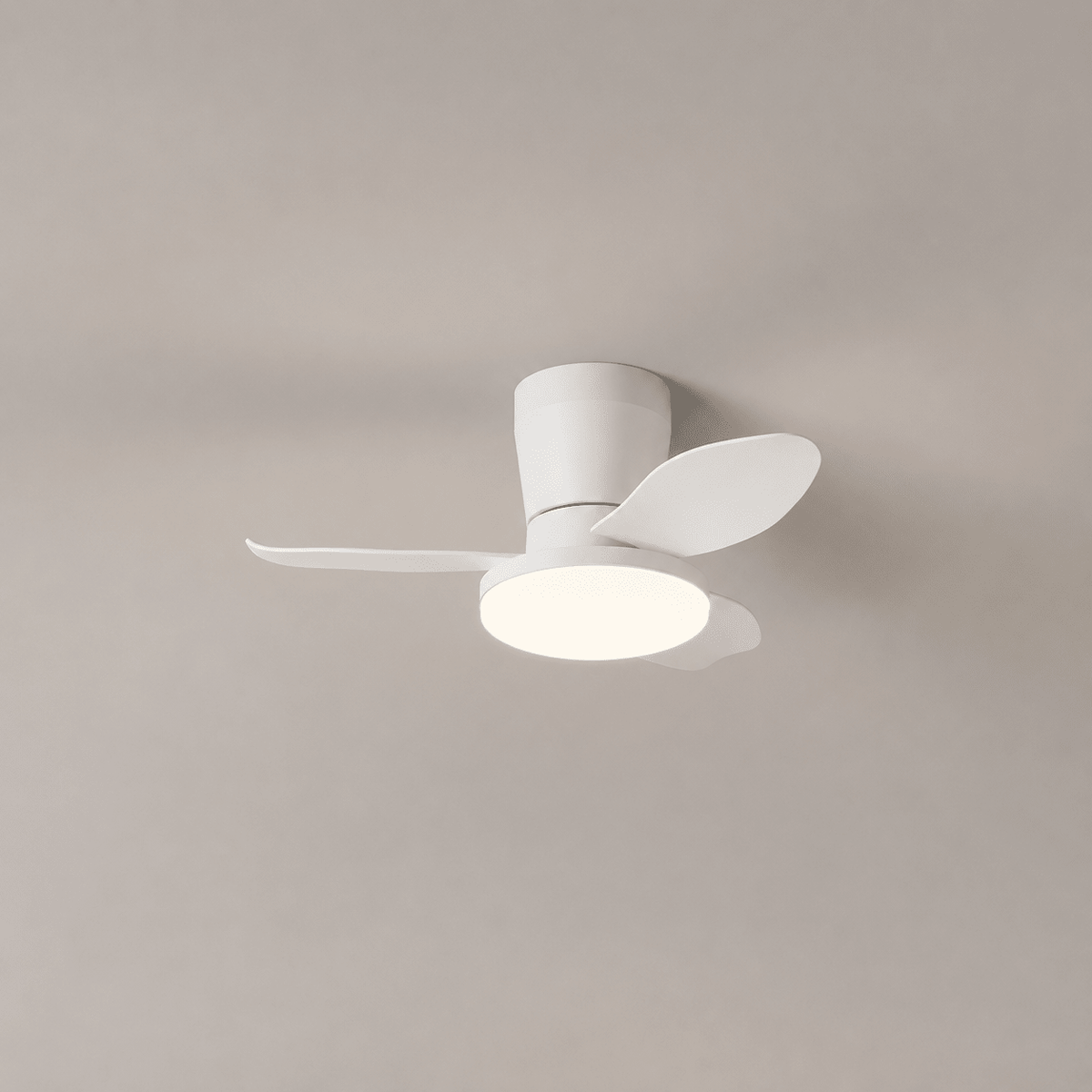 Aldren Ceiling Fan Light