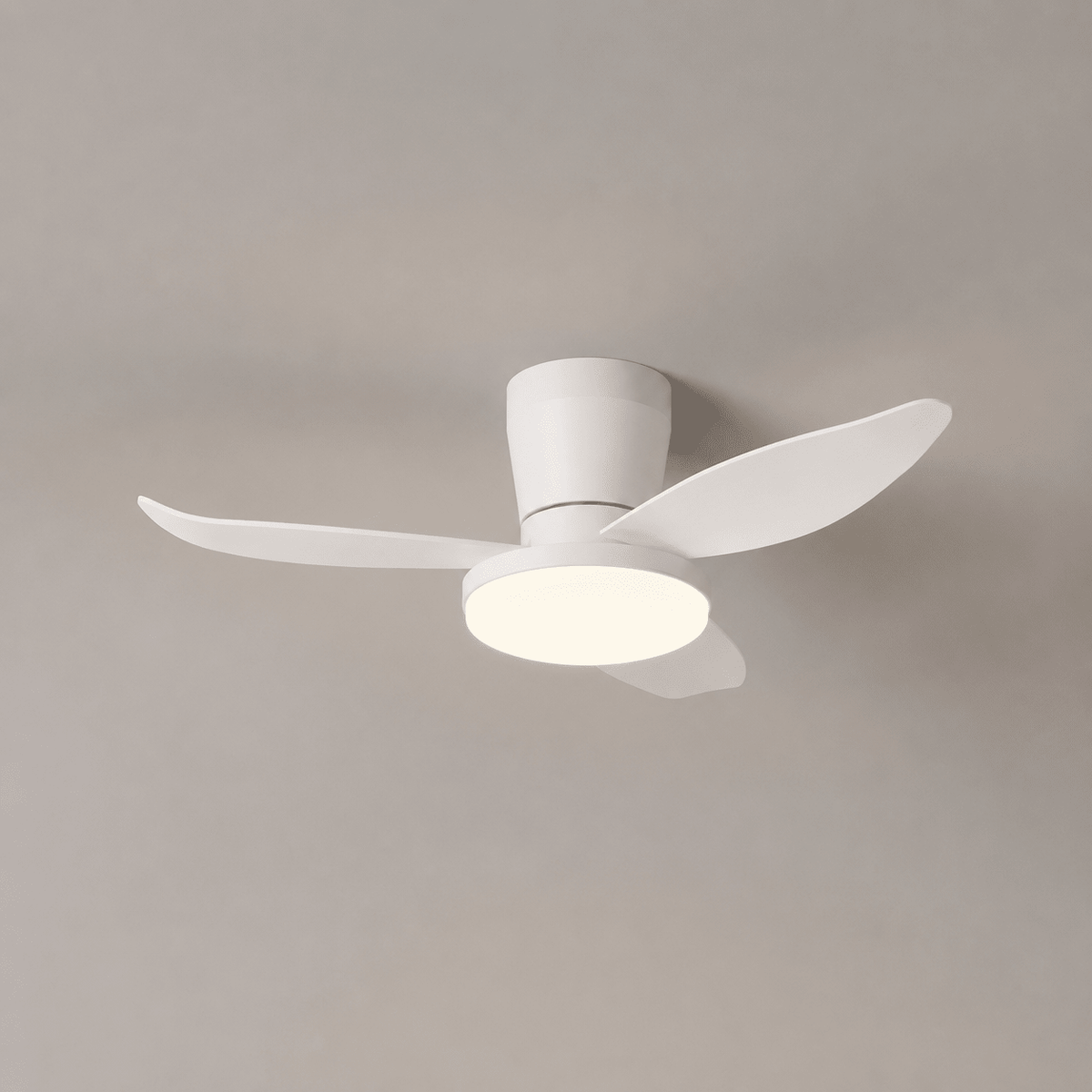 Aldren Ceiling Fan Light
