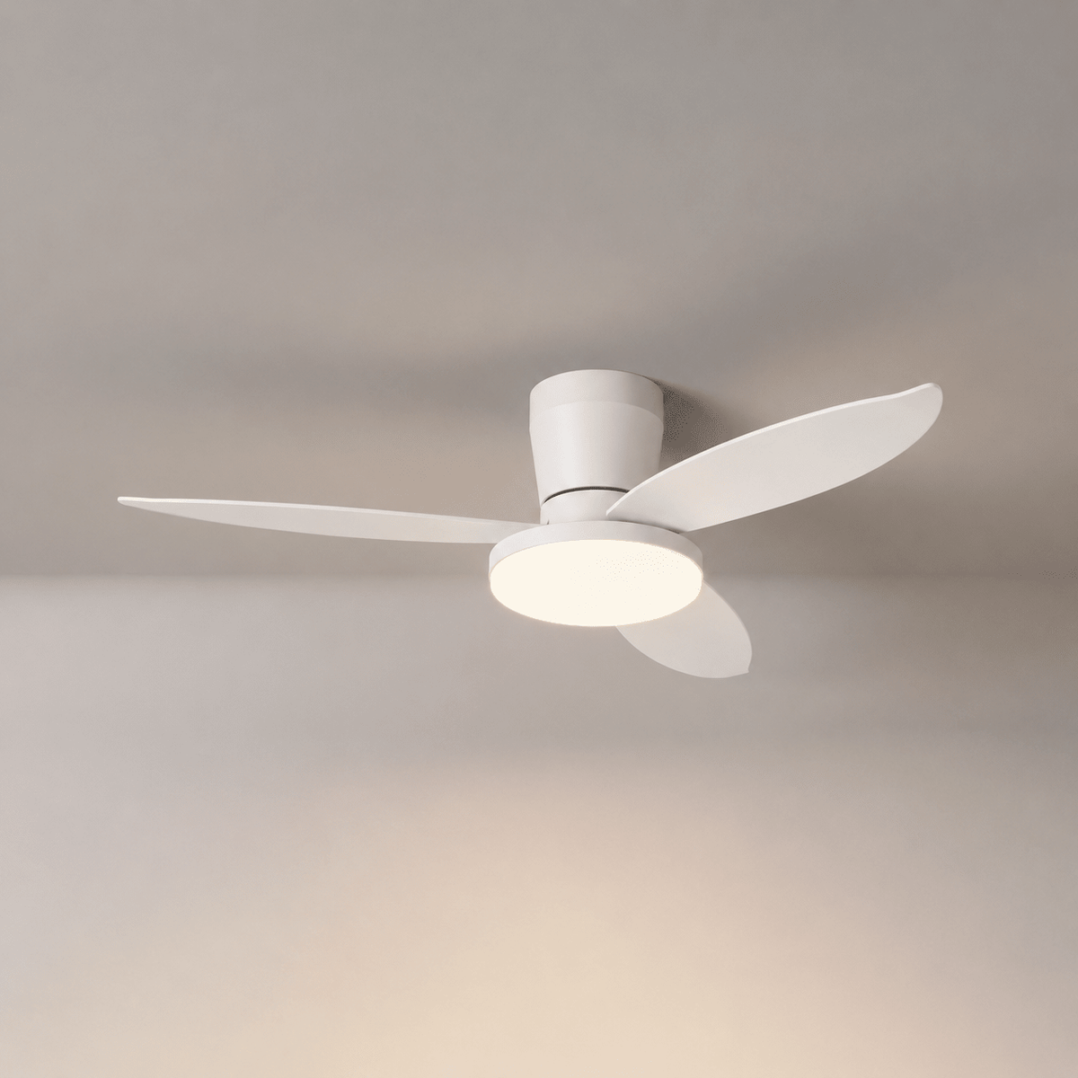 Aldren Ceiling Fan Light