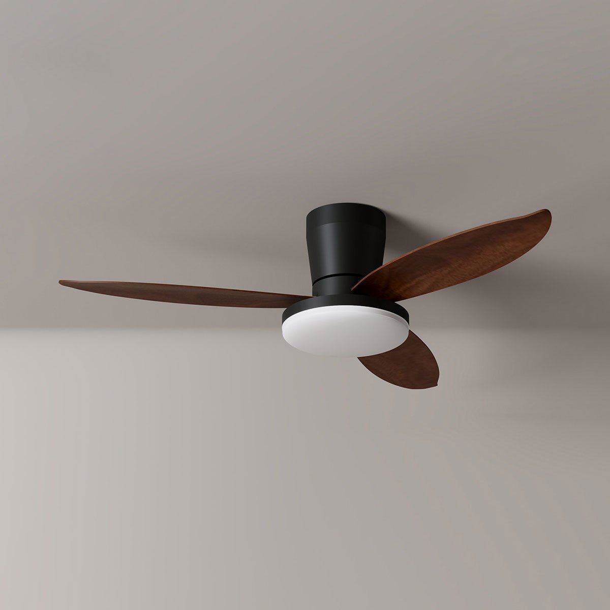 Aldren Ceiling Fan Light