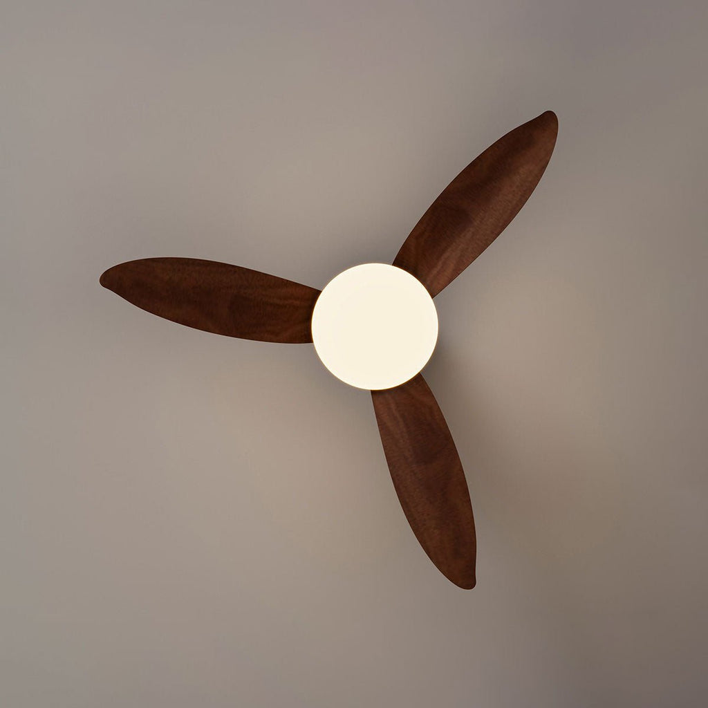 Aldren Ceiling Fan Light