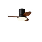 Aldren Ceiling Fan Light