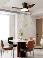 Aldren Ceiling Fan Light
