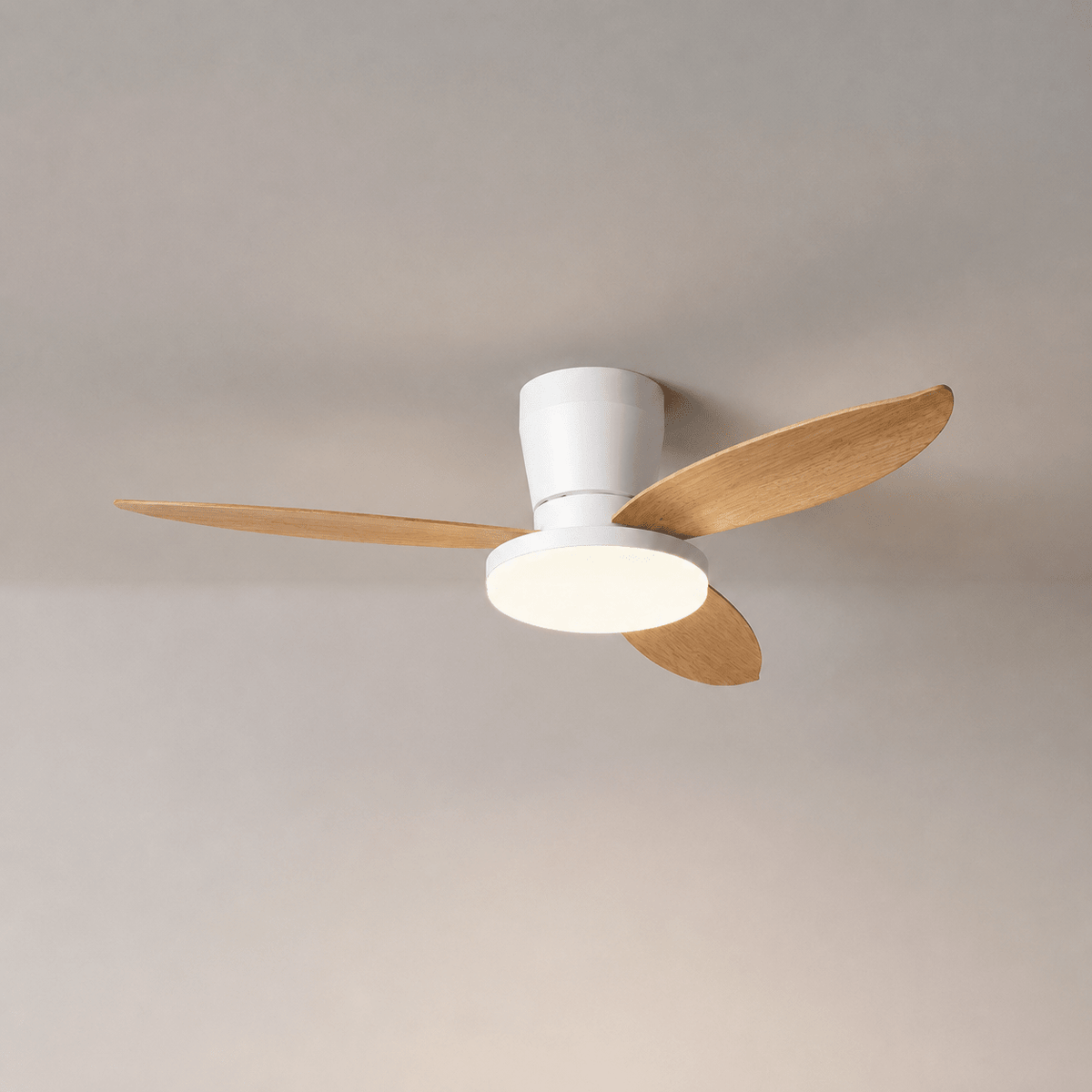 Aldren Ceiling Fan Light