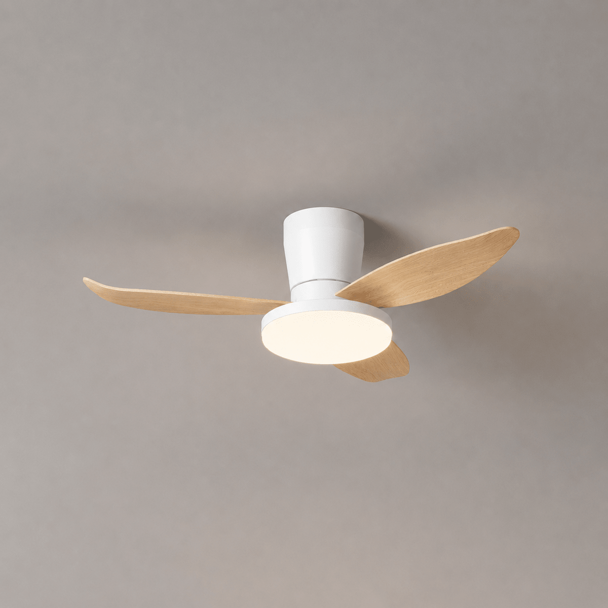 Aldren Ceiling Fan Light