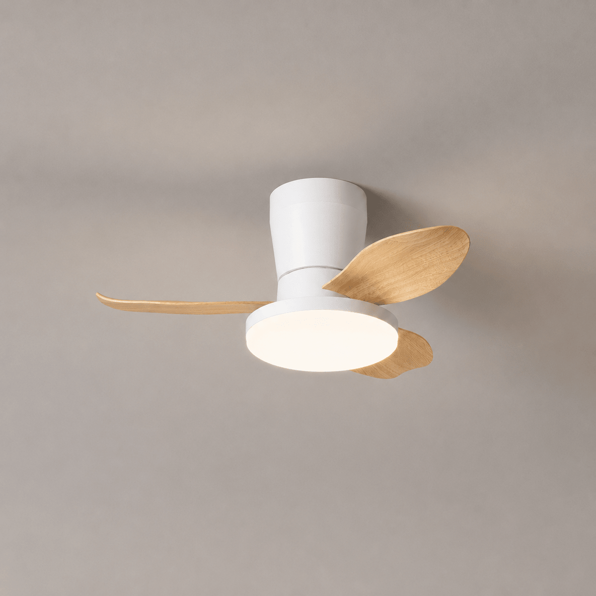 Aldren Ceiling Fan Light