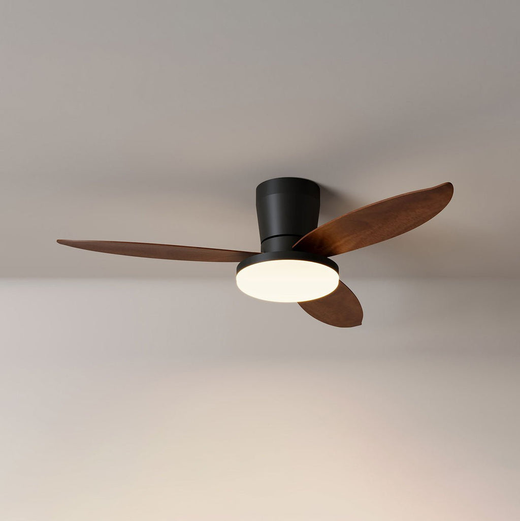 Aldren Ceiling Fan Light