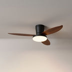 Aldren Ceiling Fan Light