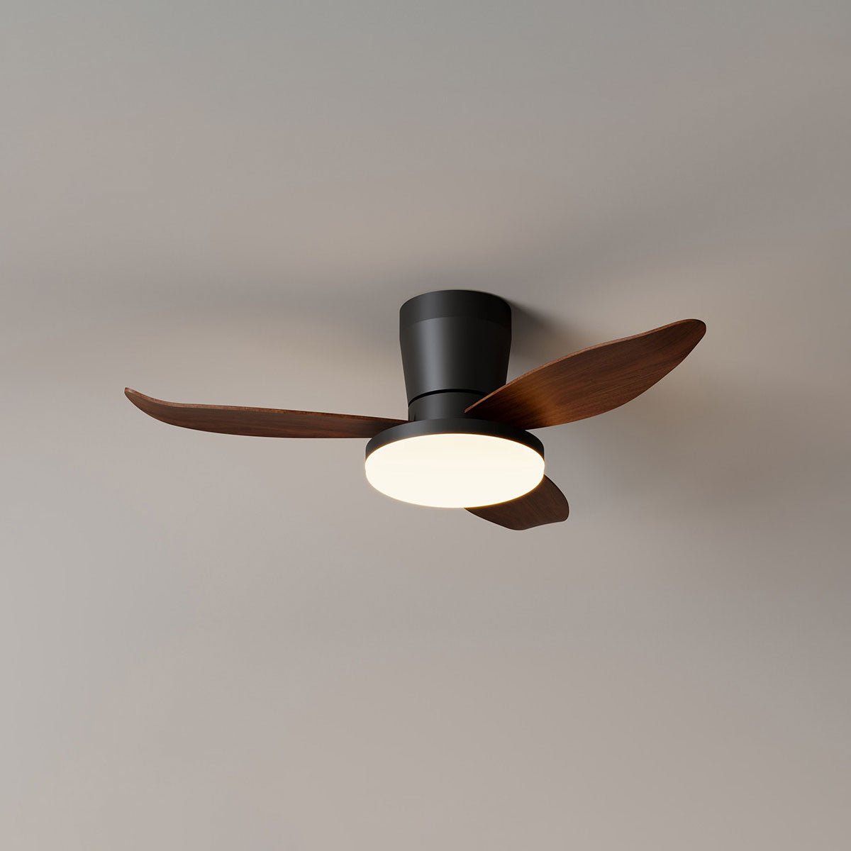 Aldren Ceiling Fan Light