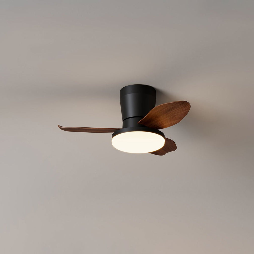 Aldren Ceiling Fan Light