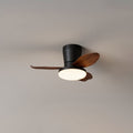 Aldren Ceiling Fan Light