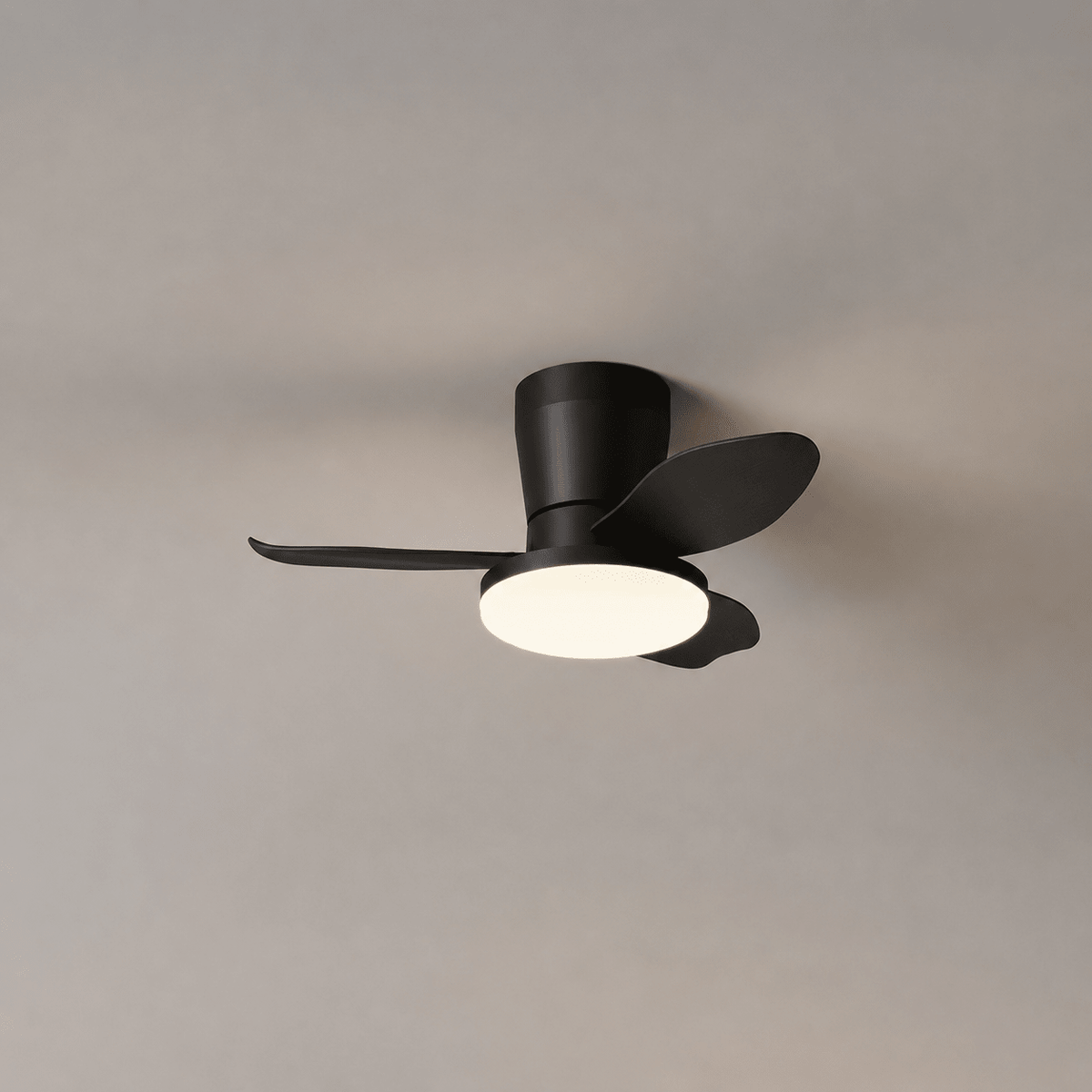 Aldren Ceiling Fan Light