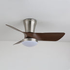 Lirien Ceiling Fan Light