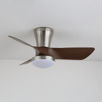 Lirien Ceiling Fan Light