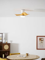 Calix 28" Ceiling Fan Light