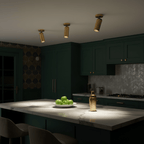Horizon Brass Spot Light