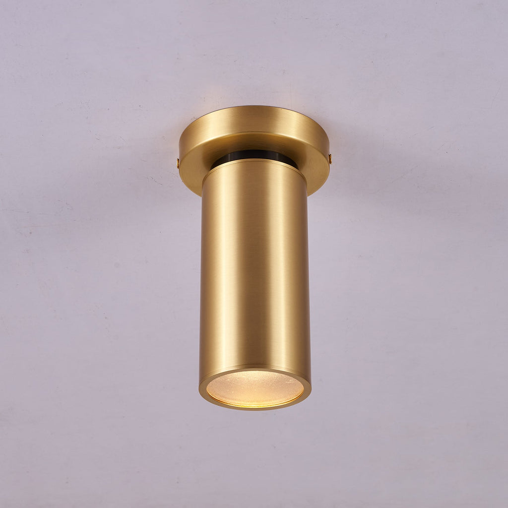 Horizon Brass Spot Light