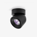 Clara Rotating Surface Downlight