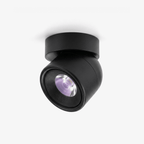 Clara Rotating Surface Downlight