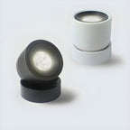 Clara Rotating Surface Downlight