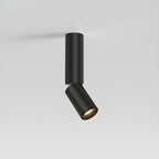 Julian Adjustable Surface Downlight