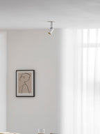 Julian Adjustable Surface Downlight