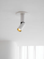 Julian Adjustable Surface Downlight