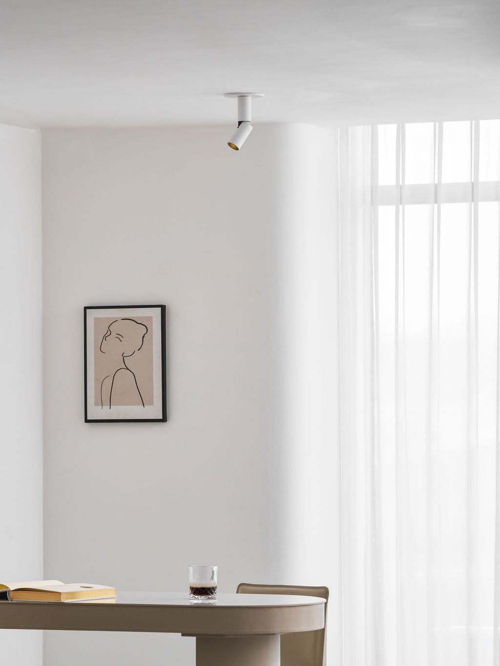 Julian Adjustable Surface Downlight