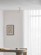 Julian Adjustable Surface Downlight