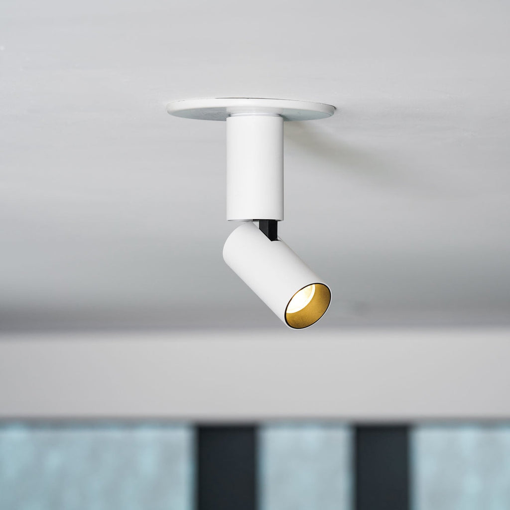 Julian Adjustable Surface Downlight