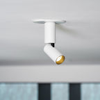 Julian Adjustable Surface Downlight