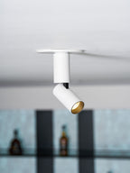 Julian Adjustable Surface Downlight