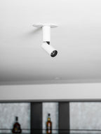 Julian Adjustable Surface Downlight
