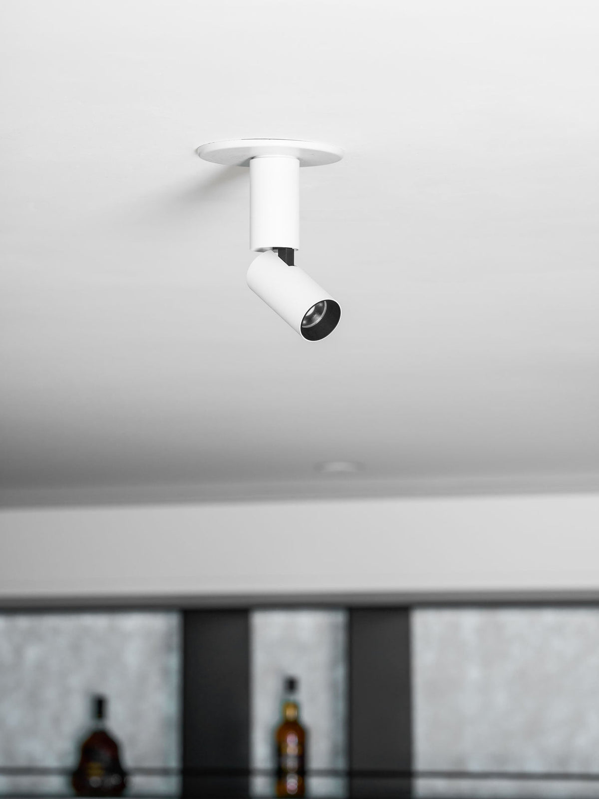 Julian Adjustable Surface Downlight