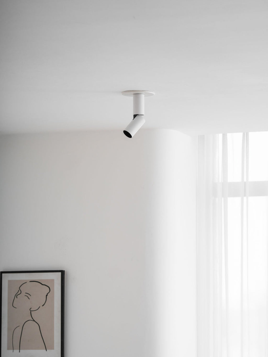 Julian Adjustable Surface Downlight