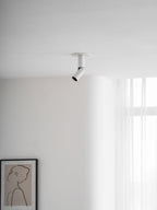 Julian Adjustable Surface Downlight