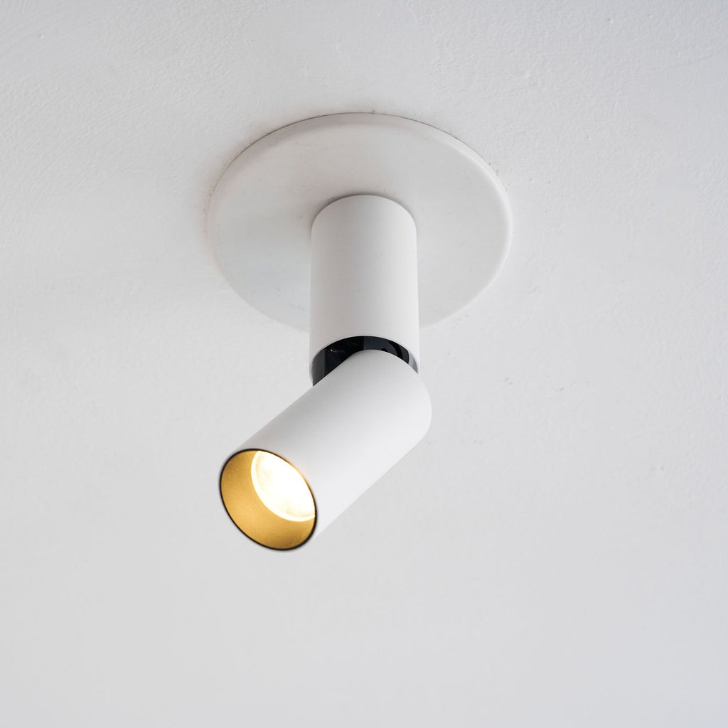 Julian Adjustable Surface Downlight