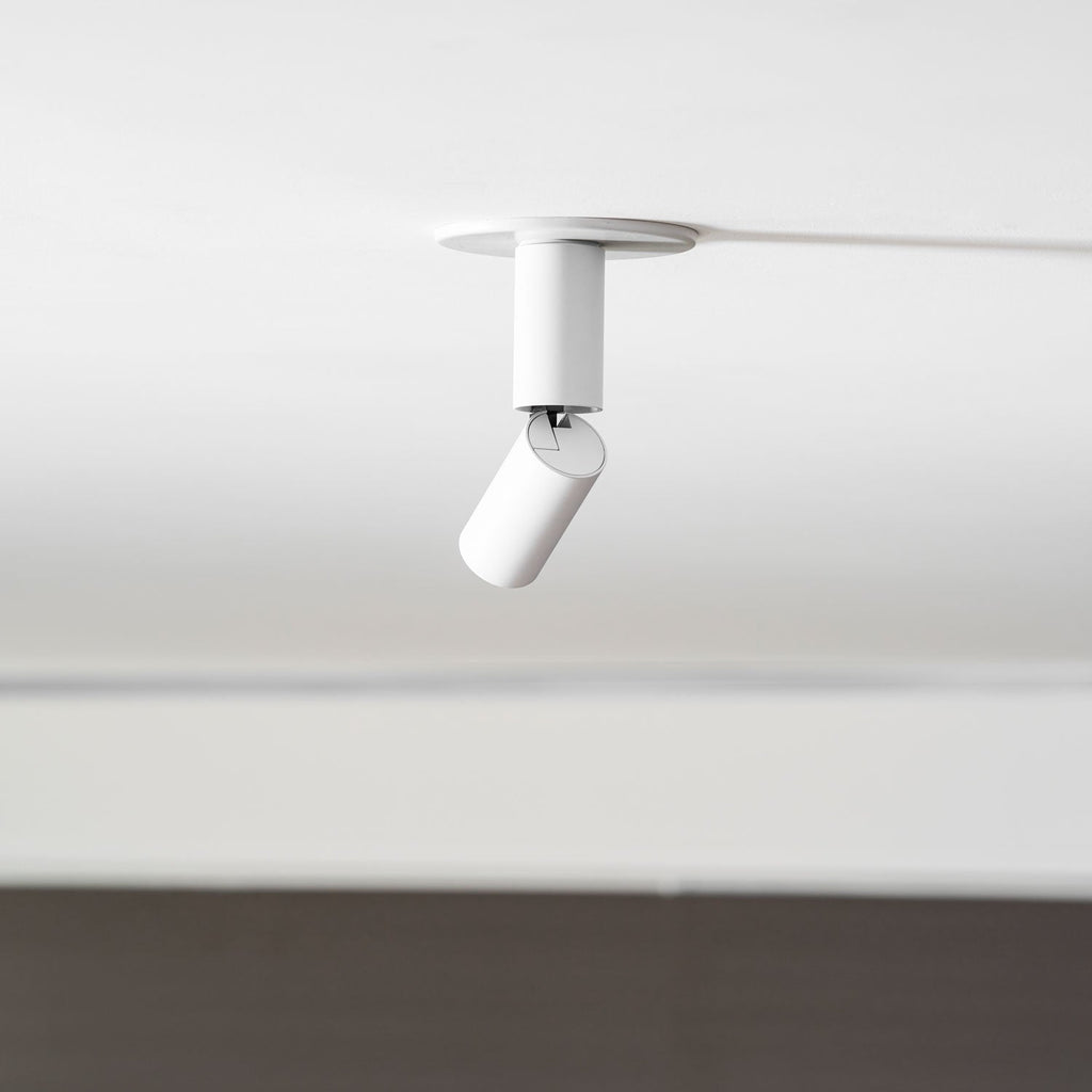 Julian Adjustable Surface Downlight