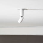 Julian Adjustable Surface Downlight