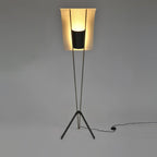Kite Floor Lamp