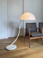 Arc Dome Floor Lamp