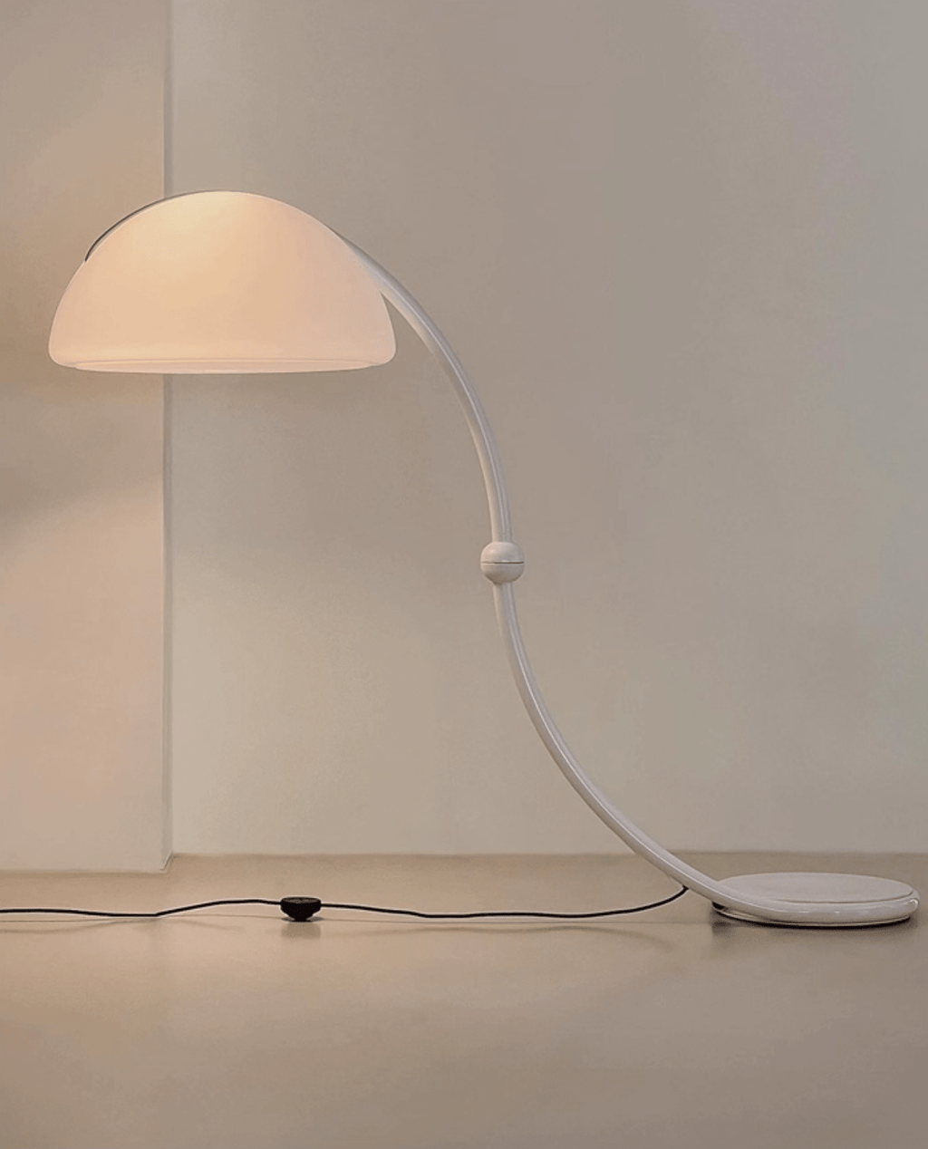 Arc Dome Floor Lamp