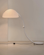 Arc Dome Floor Lamp