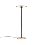 Innovative Directional Floor Lamp