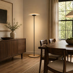 Innovative Directional Floor Lamp
