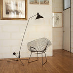 Mantis Arm Floor Lamp