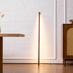 Line Assist Ambience Floor Lamp
