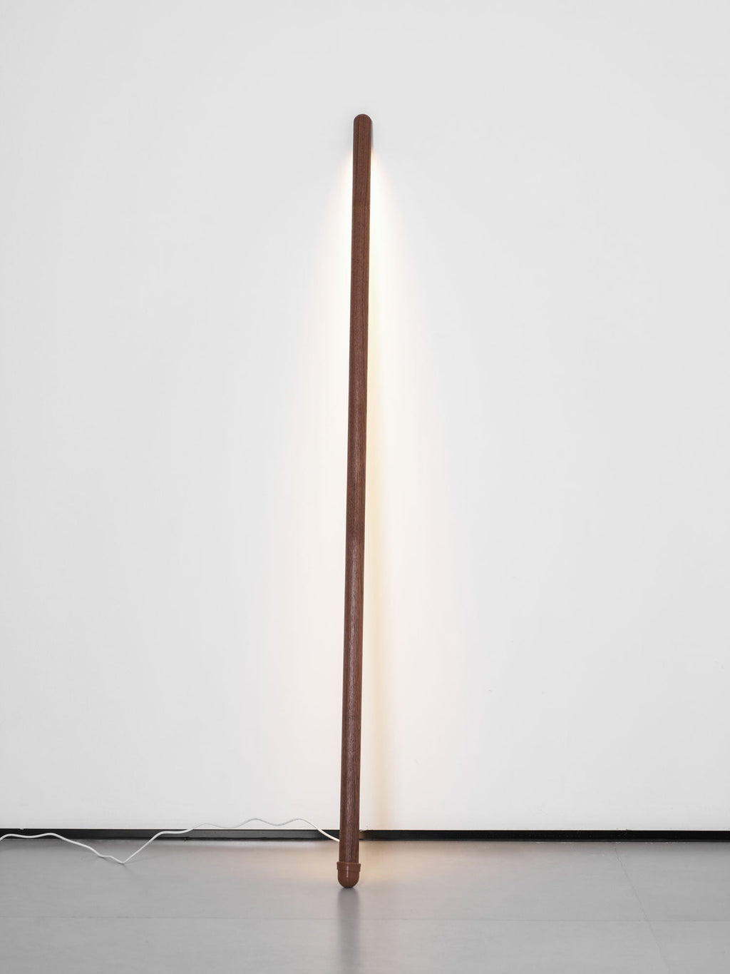 Line Assist Ambience Floor Lamp