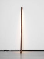 Line Assist Ambience Floor Lamp