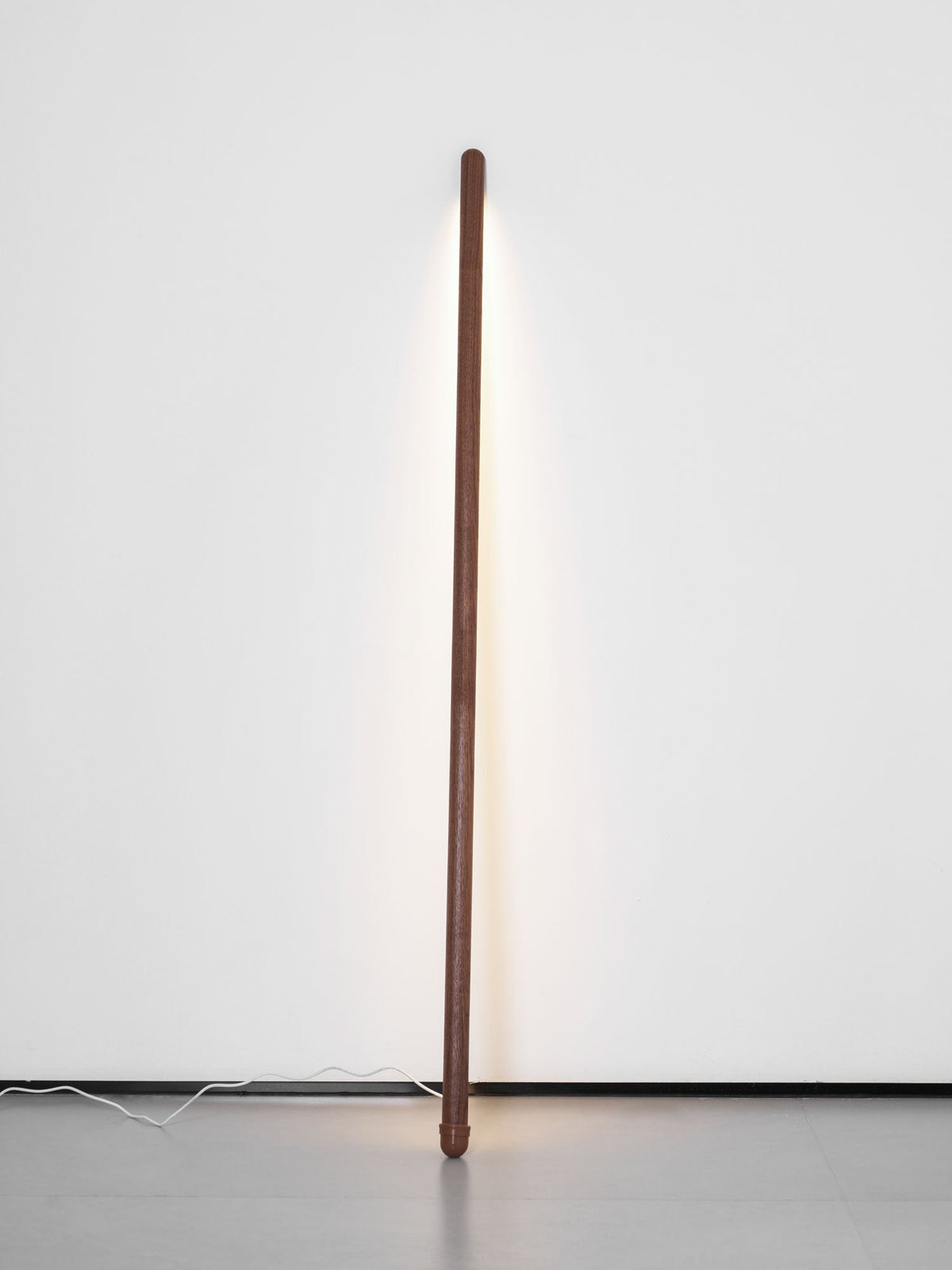 Line Assist Ambience Floor Lamp
